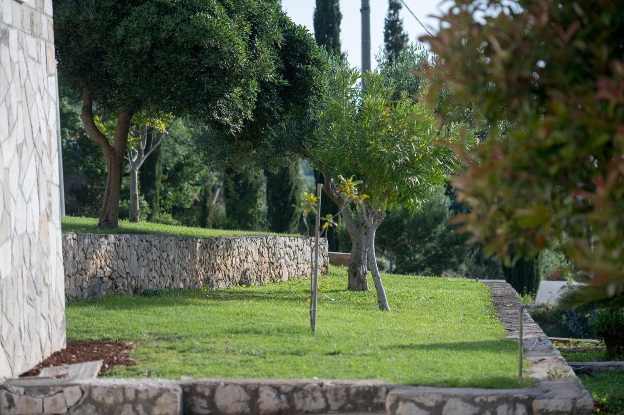 Apartments Mi&Ni Cavtat Quarto foto